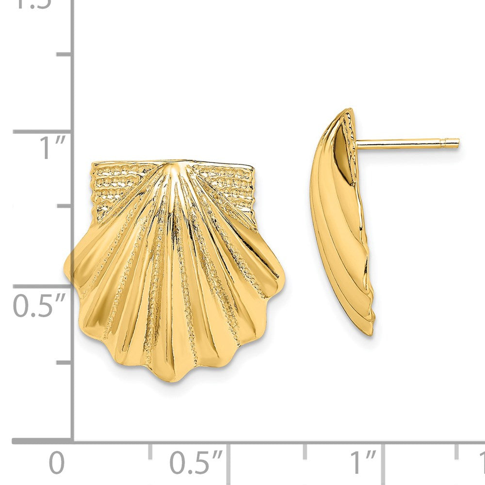 14K Gelbgold Muschel Ohrringe