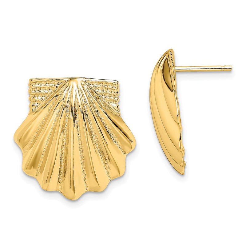 14K Gelbgold Muschel Ohrringe