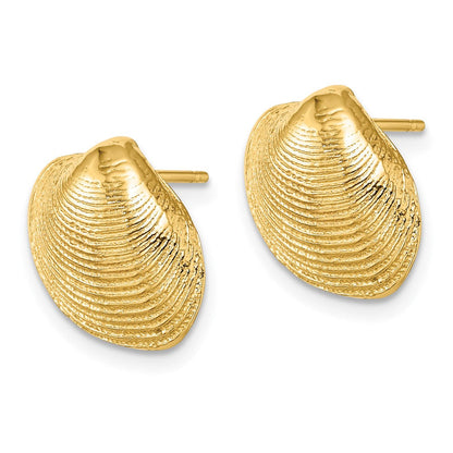 14K Gelbgold Clam Muschel Ohrstecker