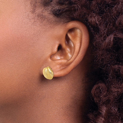 14K Gelbgold Clam Muschel Ohrstecker