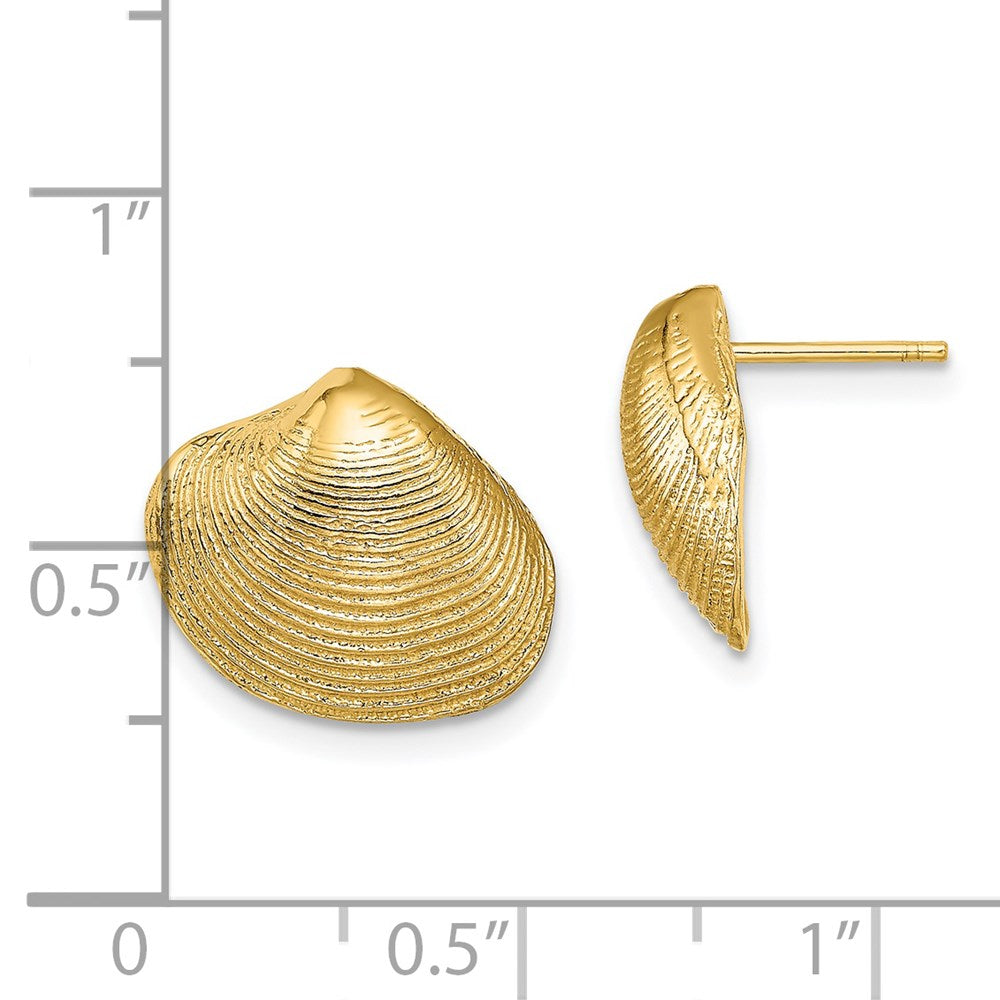 14K Gelbgold Clam Muschel Ohrstecker