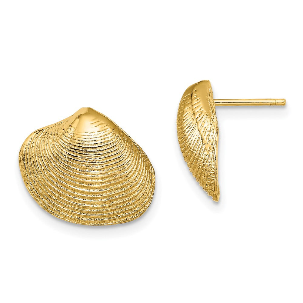 14K Gelbgold Clam Muschel Ohrstecker
