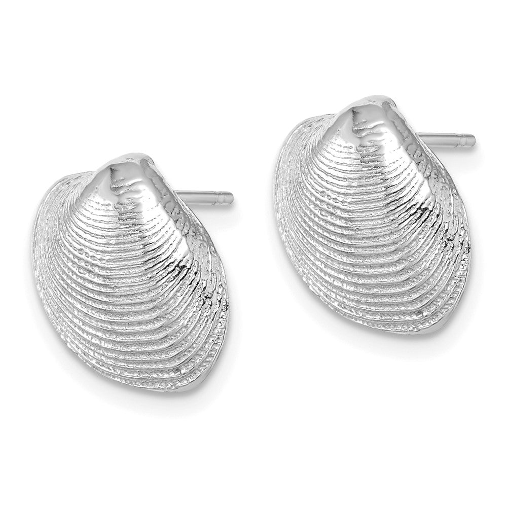 14K Weißgold Clam Muschel Ohrstecker