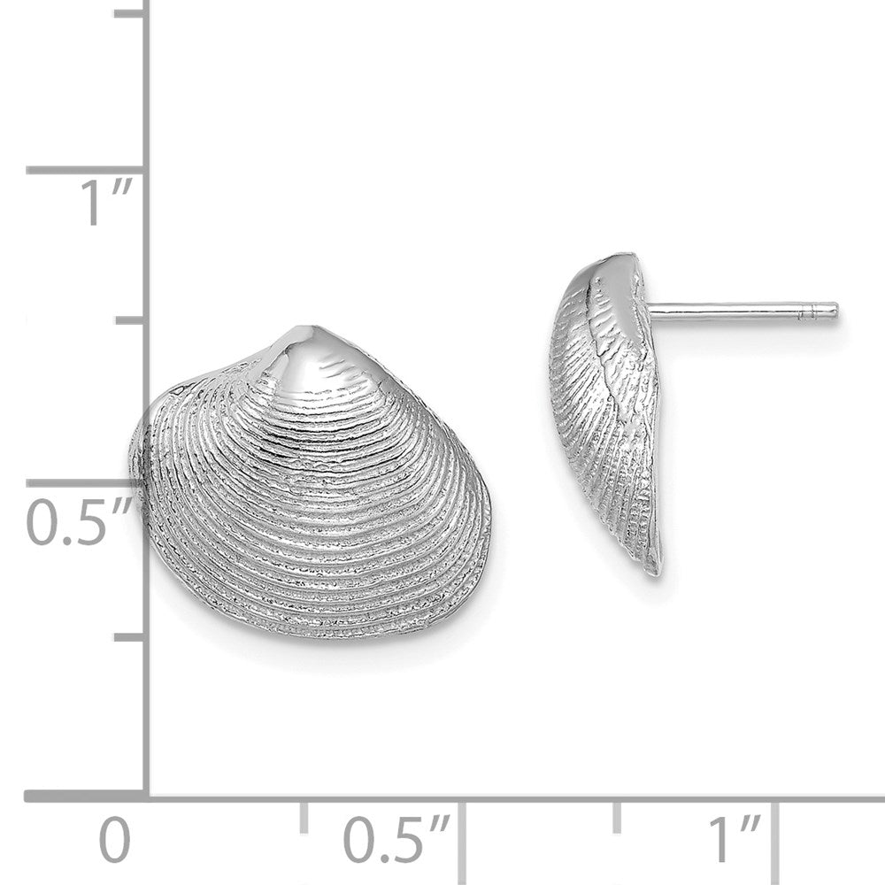 14K Weißgold Clam Muschel Ohrstecker