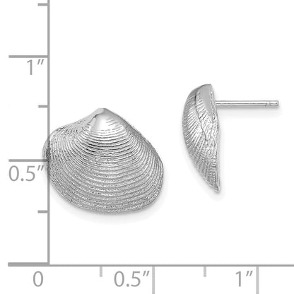 14K Weißgold Clam Muschel Ohrstecker