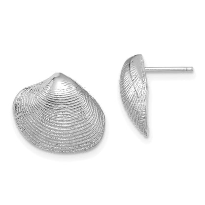 14K Weißgold Clam Muschel Ohrstecker