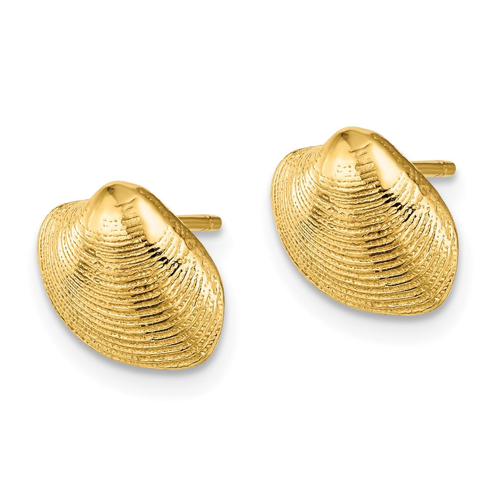 14K Gelbgold Clam Muschel Ohrstecker