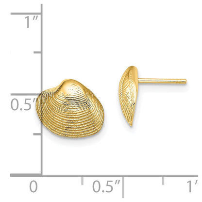 14K Gelbgold Clam Muschel Ohrstecker