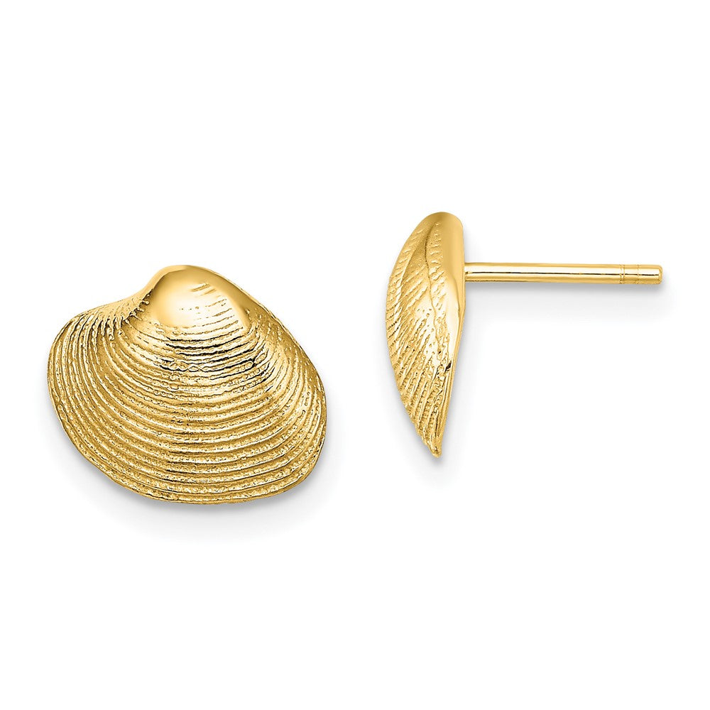14K Gelbgold Clam Muschel Ohrstecker