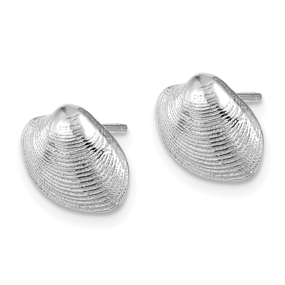 14K Weißgold Clam Muschel Ohrstecker