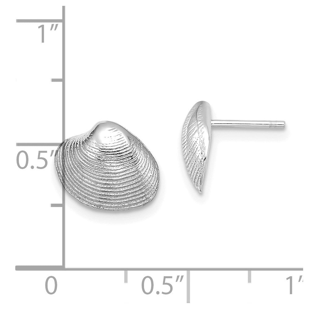 14K Weißgold Clam Muschel Ohrstecker
