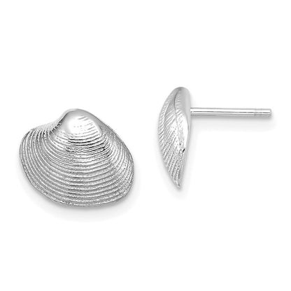 14K Weißgold Clam Muschel Ohrstecker