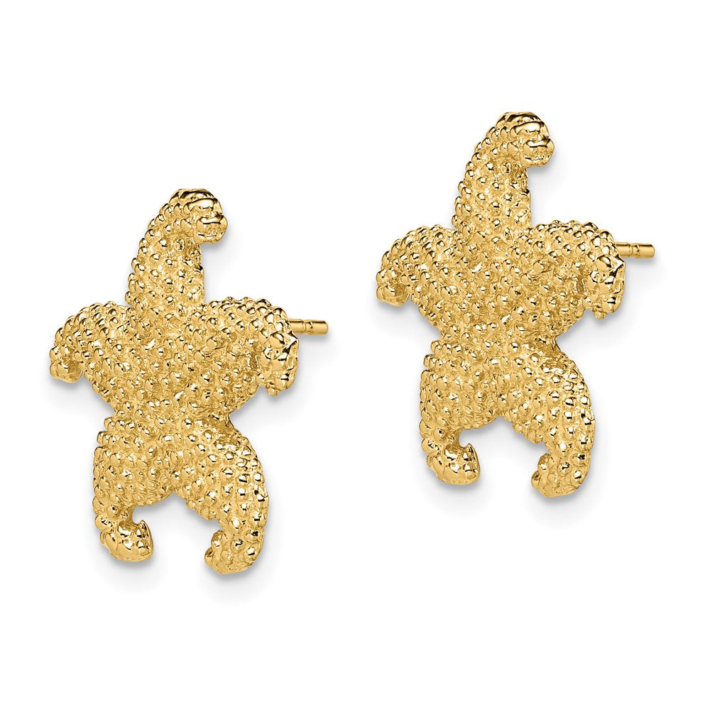 14K Gelbgold Gewölbt Seestern Ohrstecker