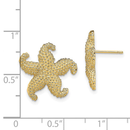 14K Gelbgold Gewölbt Seestern Ohrstecker