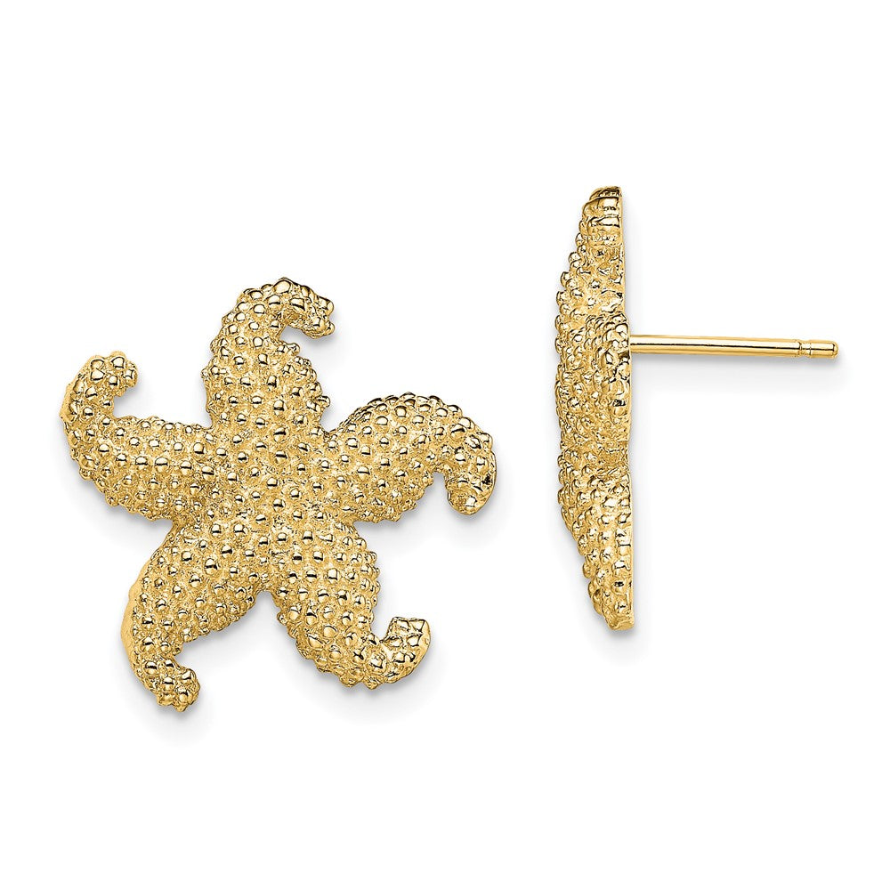 14K Gelbgold Gewölbt Seestern Ohrstecker