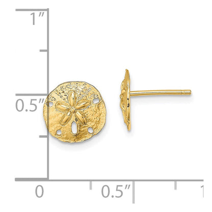 14K Gelbgold Poliert Mini Sand Dollar Ohrstecker