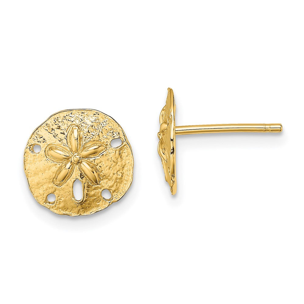 14K Gelbgold Poliert Mini Sand Dollar Ohrstecker