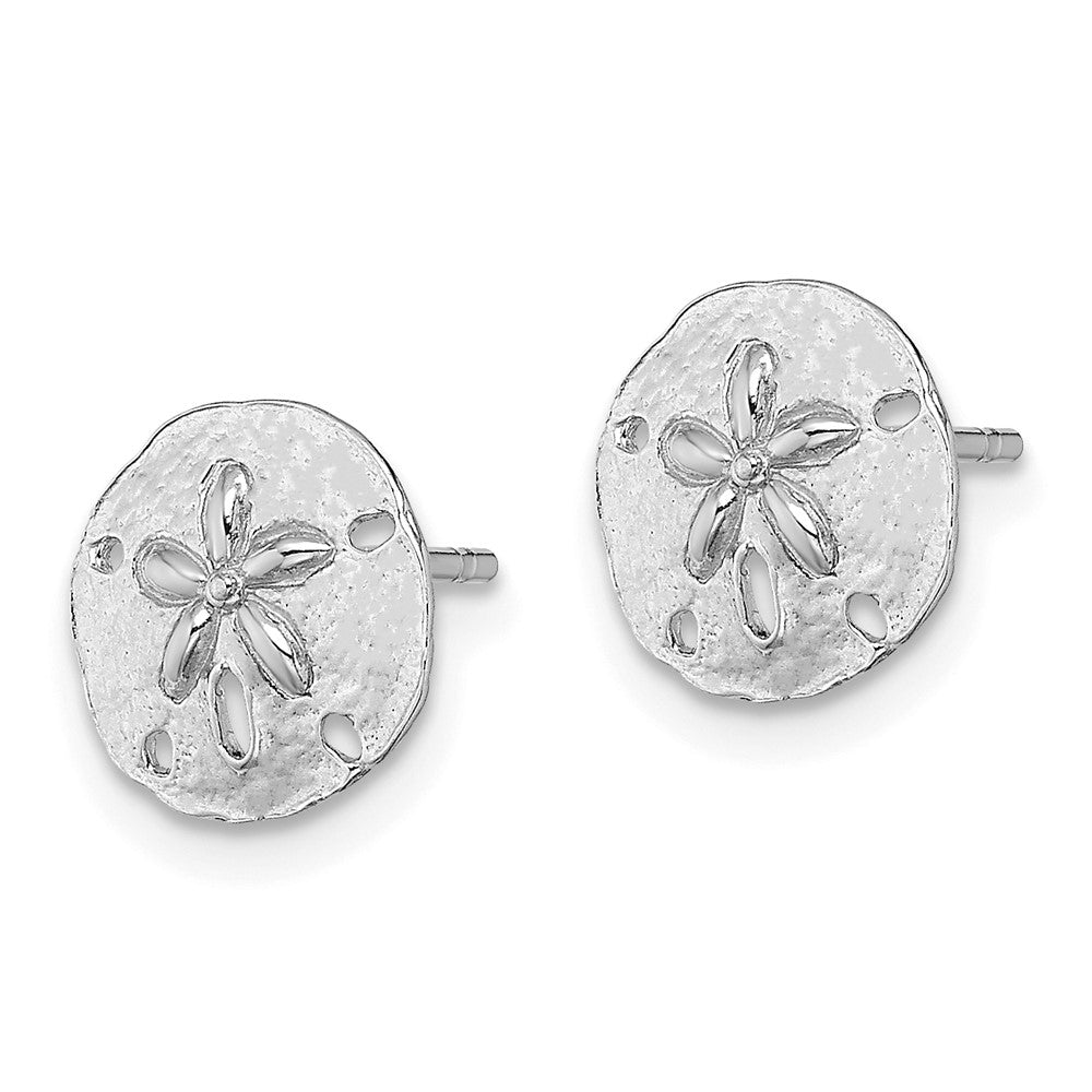 14K Weißgold Poliert Mini Sand Dollar Ohrstecker