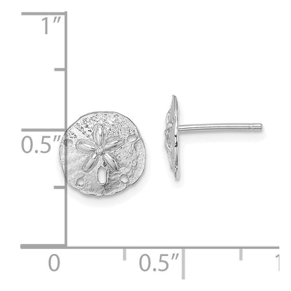 14K Weißgold Poliert Mini Sand Dollar Ohrstecker
