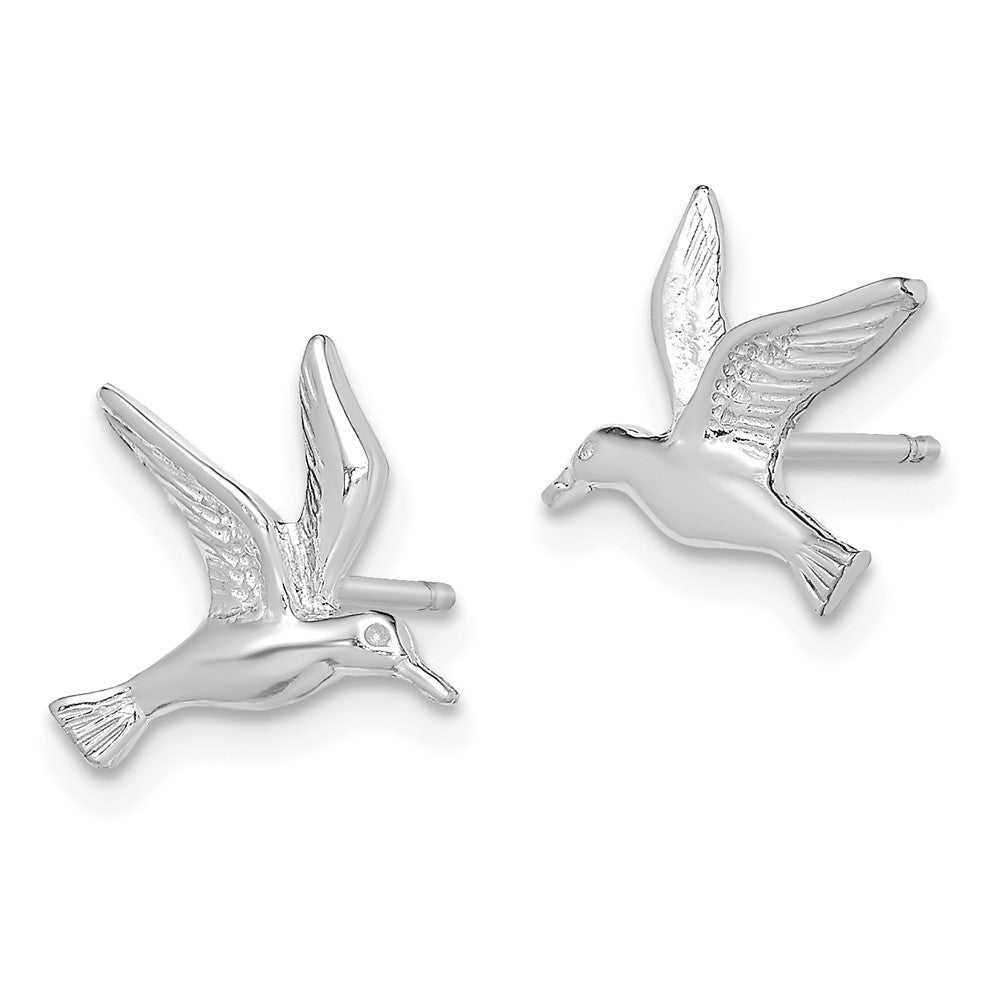 14K Weißgold Poliert Seagull Ohrstecker