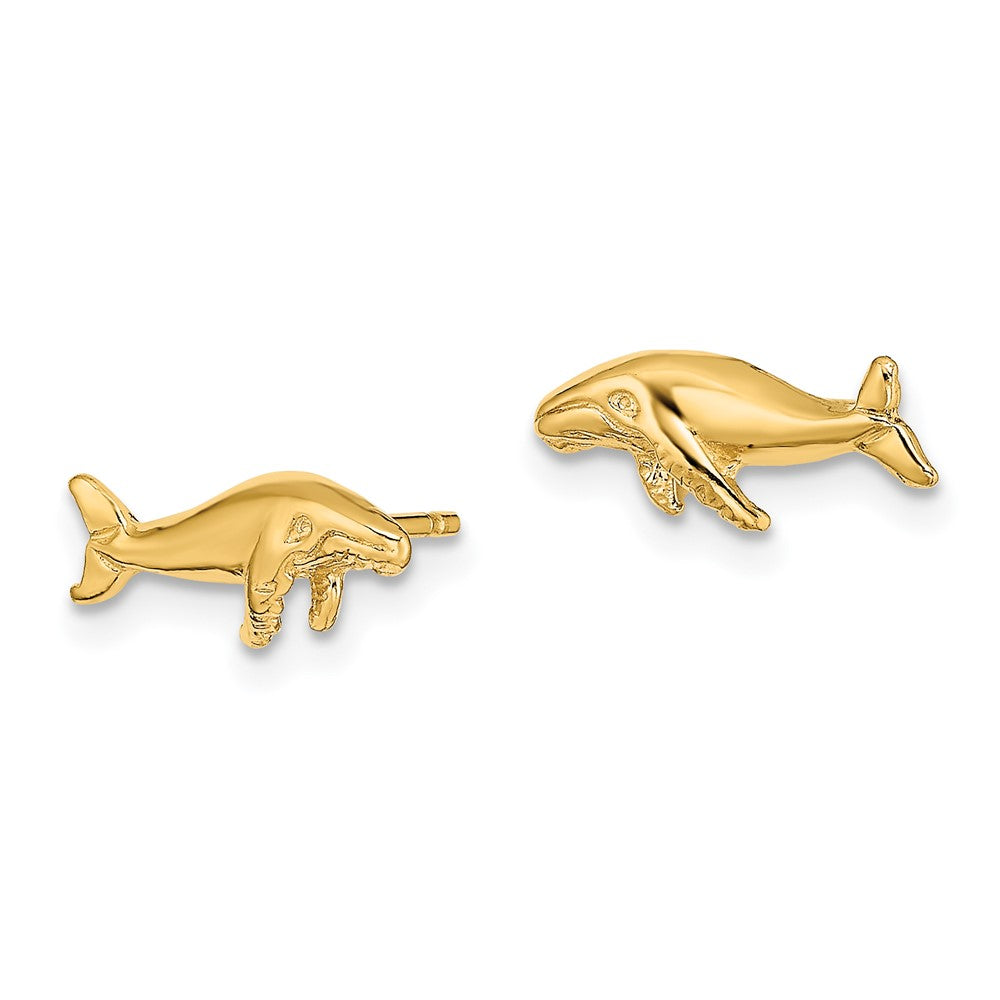 14K Gelbgold Wal Ohrstecker