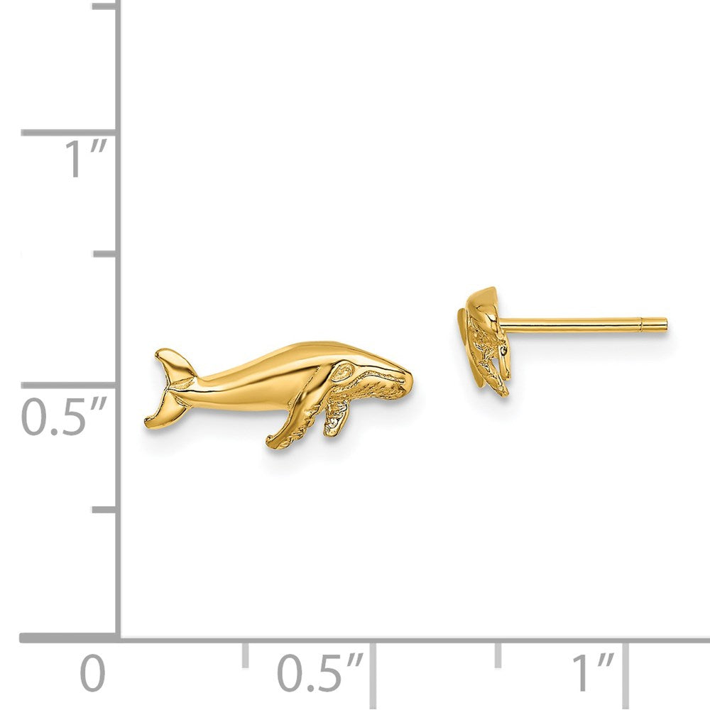 14K Gelbgold Wal Ohrstecker