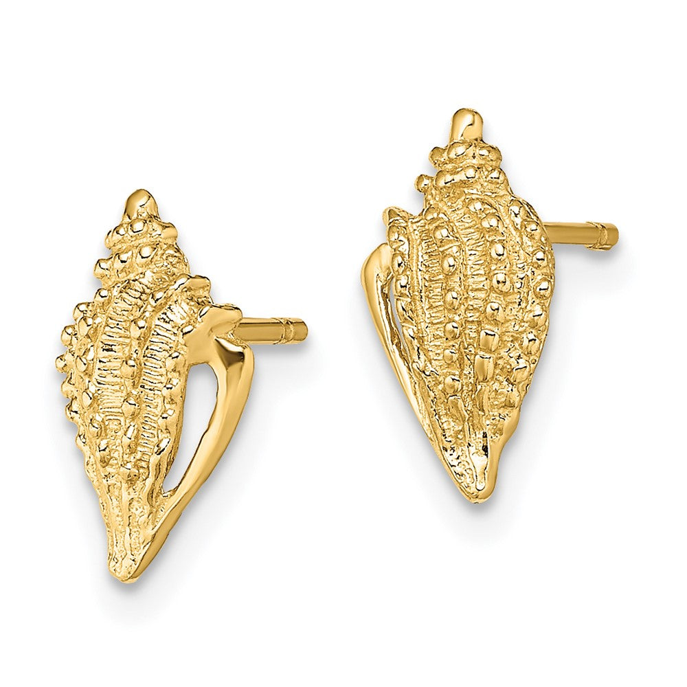 14K Gelbgold Mini Conch Muschel Ohrstecker