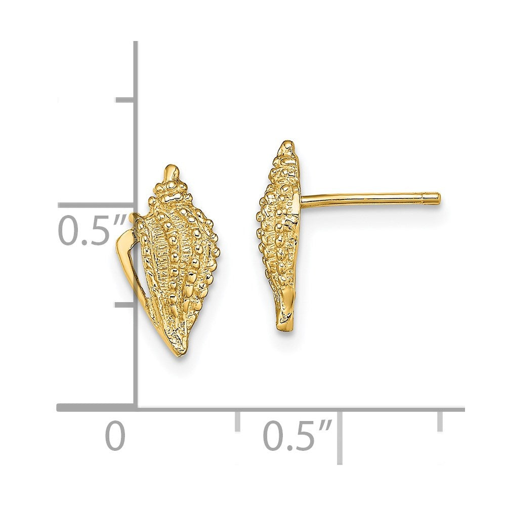 14K Gelbgold Mini Conch Muschel Ohrstecker