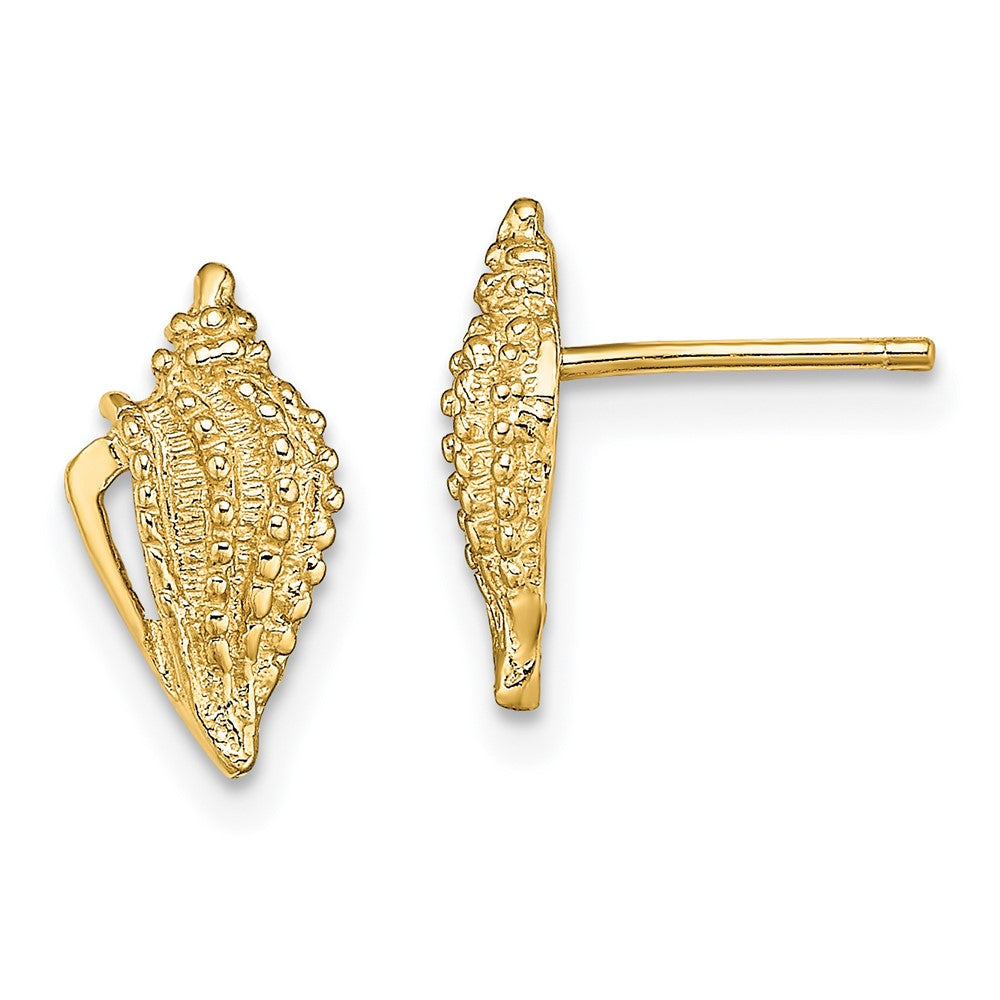 14K Gelbgold Mini Conch Muschel Ohrstecker