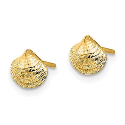 14K Gelbgold Mini Clam Muschel Ohrstecker