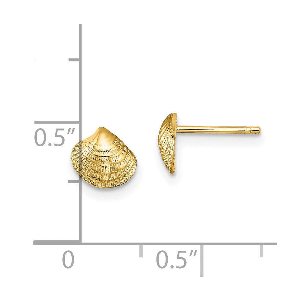14K Gelbgold Mini Clam Muschel Ohrstecker