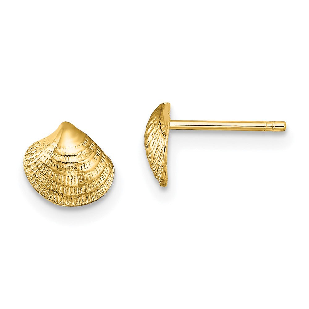 14K Gelbgold Mini Clam Muschel Ohrstecker