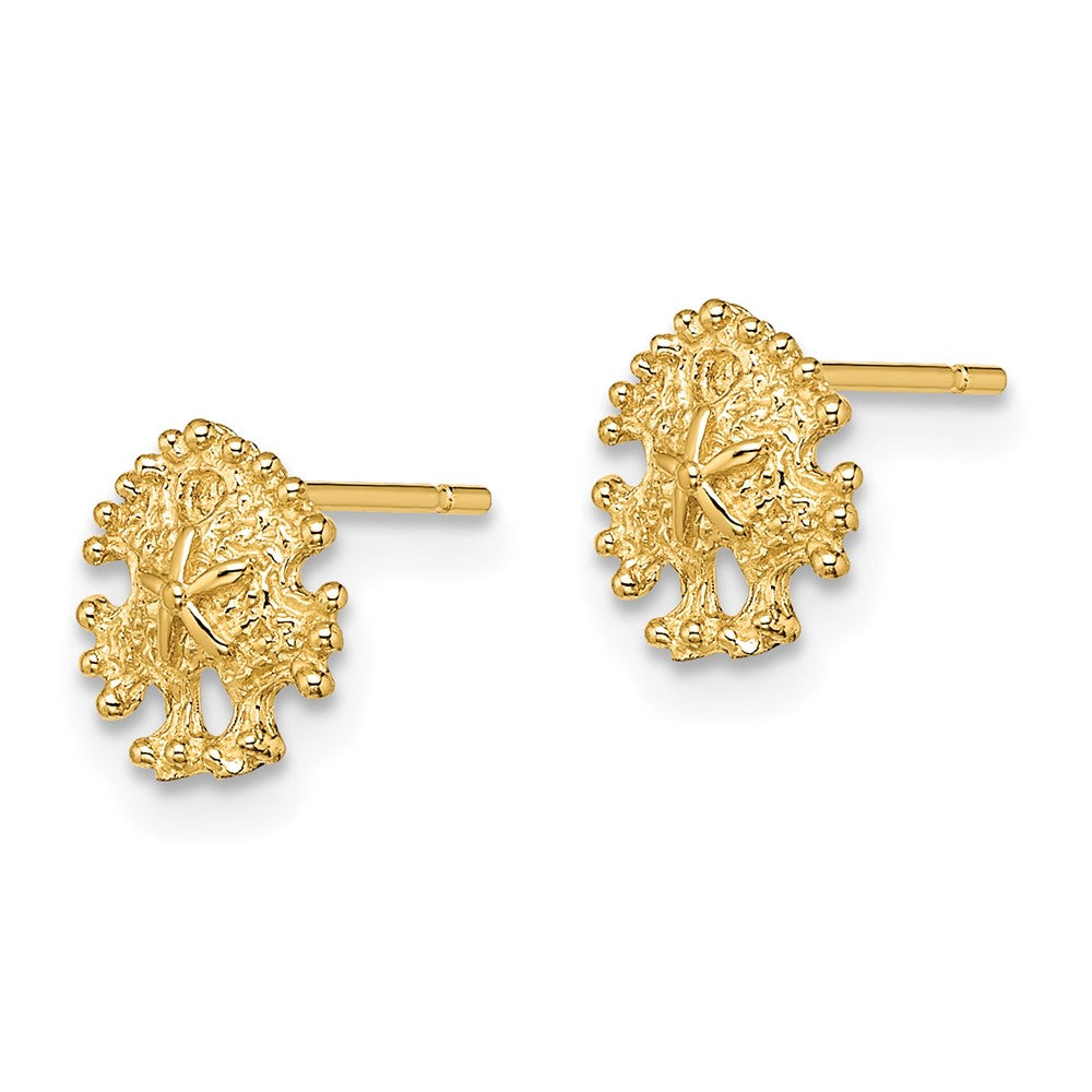 14K Gelbgold Mini Sand Dollar Ohrstecker