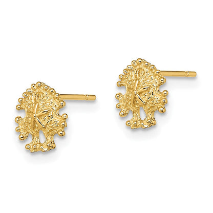 14K Gelbgold Mini Sand Dollar Ohrstecker