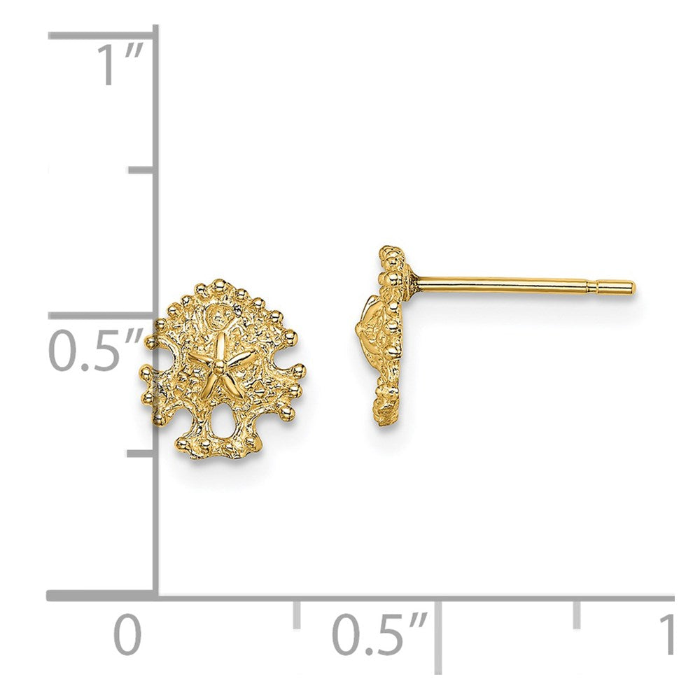 14K Gelbgold Mini Sand Dollar Ohrstecker