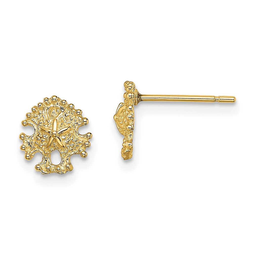 14K Gelbgold Mini Sand Dollar Ohrstecker