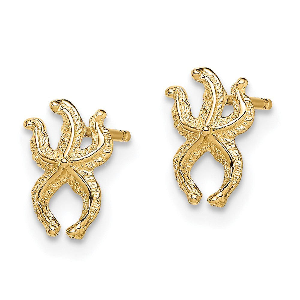 14K Gelbgold Mini Seestern Ohrstecker