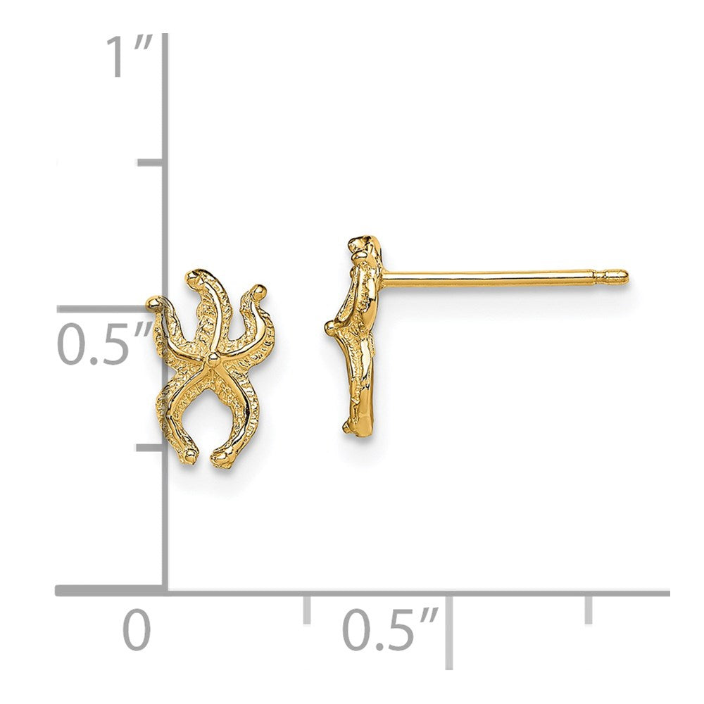 14K Gelbgold Mini Seestern Ohrstecker