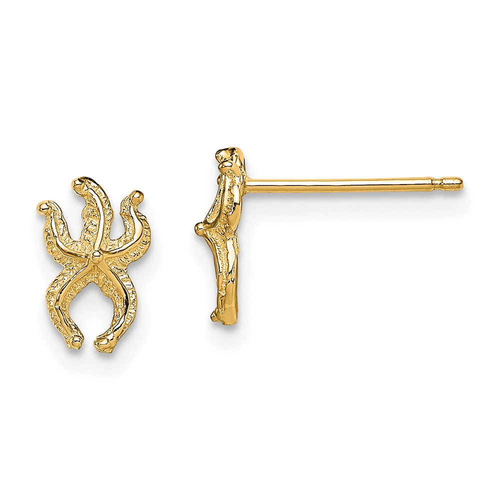 14K Gelbgold Mini Seestern Ohrstecker