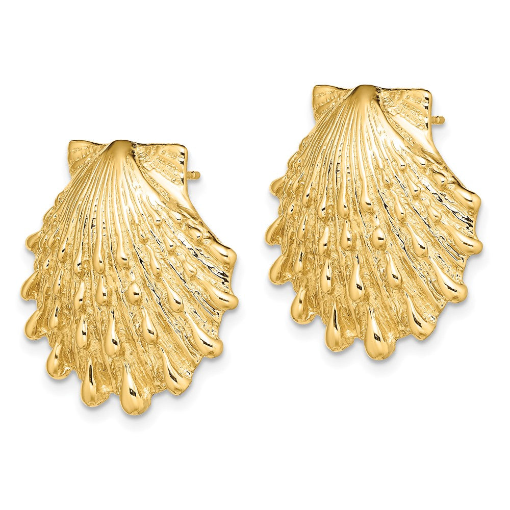 14K Gelbgold Löwe Paw Muschel Ohrstecker