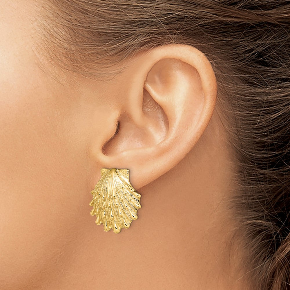 14K Gelbgold Löwe Paw Muschel Ohrstecker