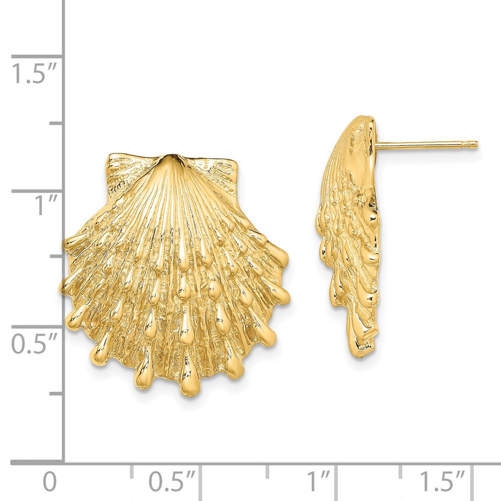 14K Gelbgold Löwe Paw Muschel Ohrstecker