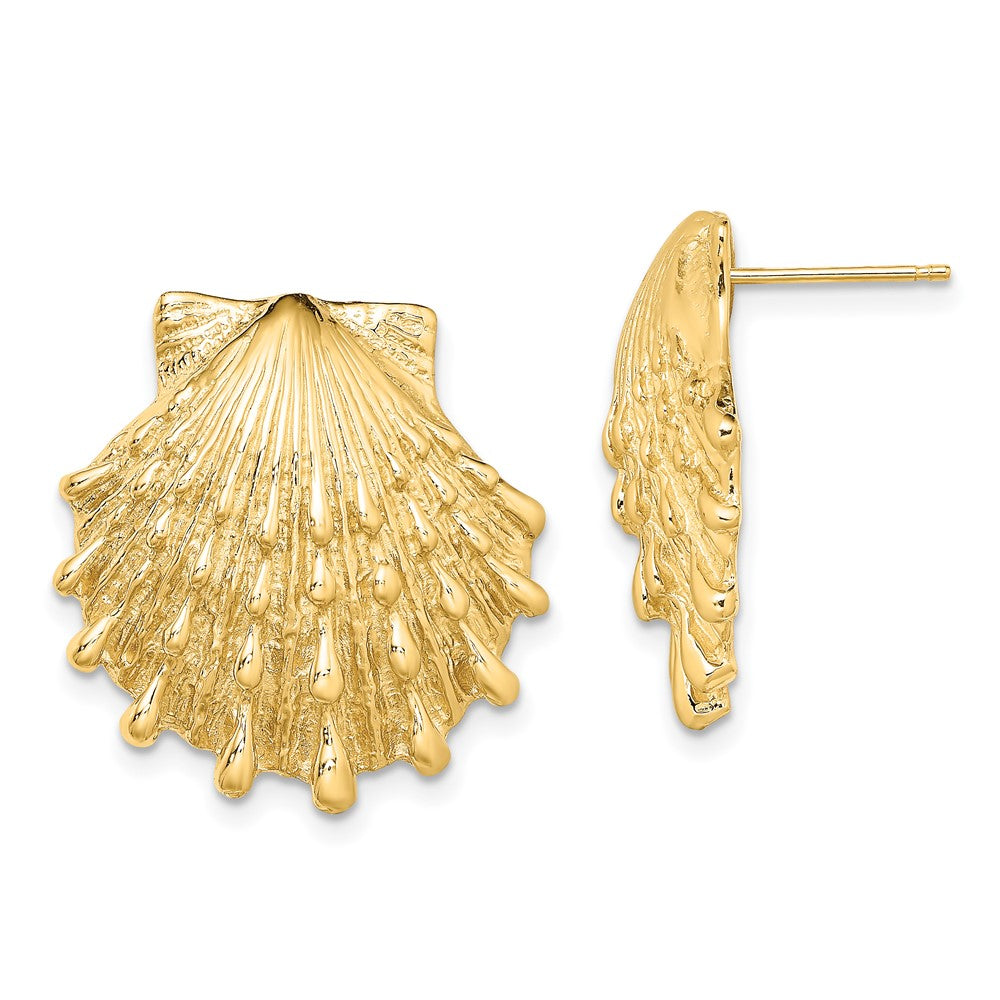 14K Gelbgold Löwe Paw Muschel Ohrstecker