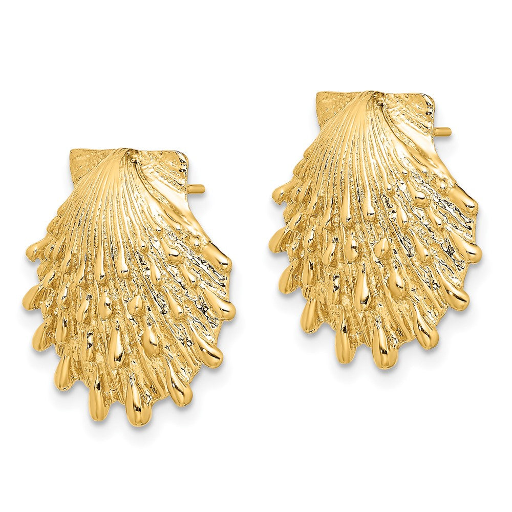 14K Gelbgold Löwe Paw Muschel Ohrstecker