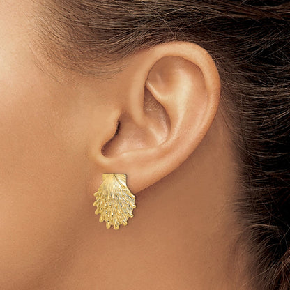 14K Gelbgold Löwe Paw Muschel Ohrstecker