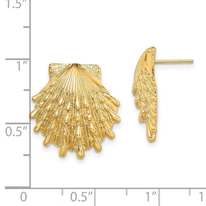 14K Gelbgold Löwe Paw Muschel Ohrstecker