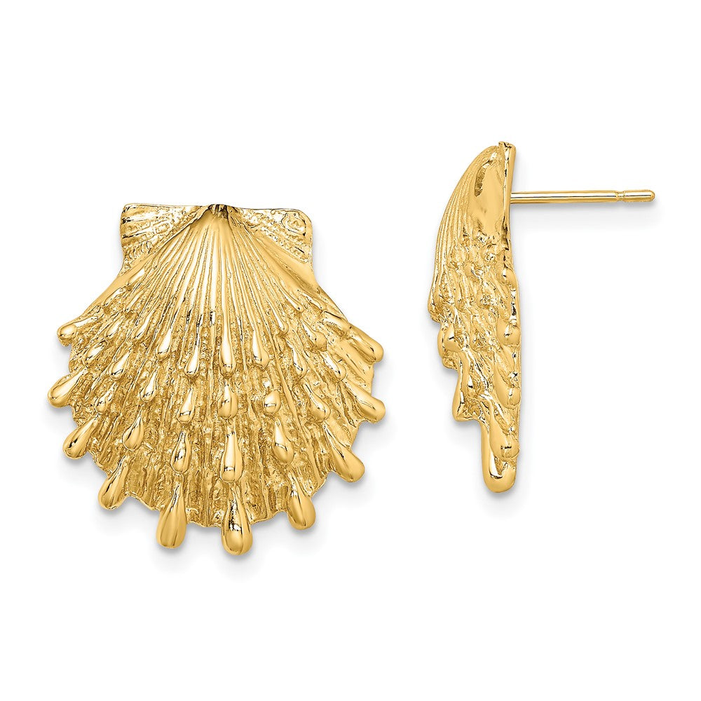14K Gelbgold Löwe Paw Muschel Ohrstecker