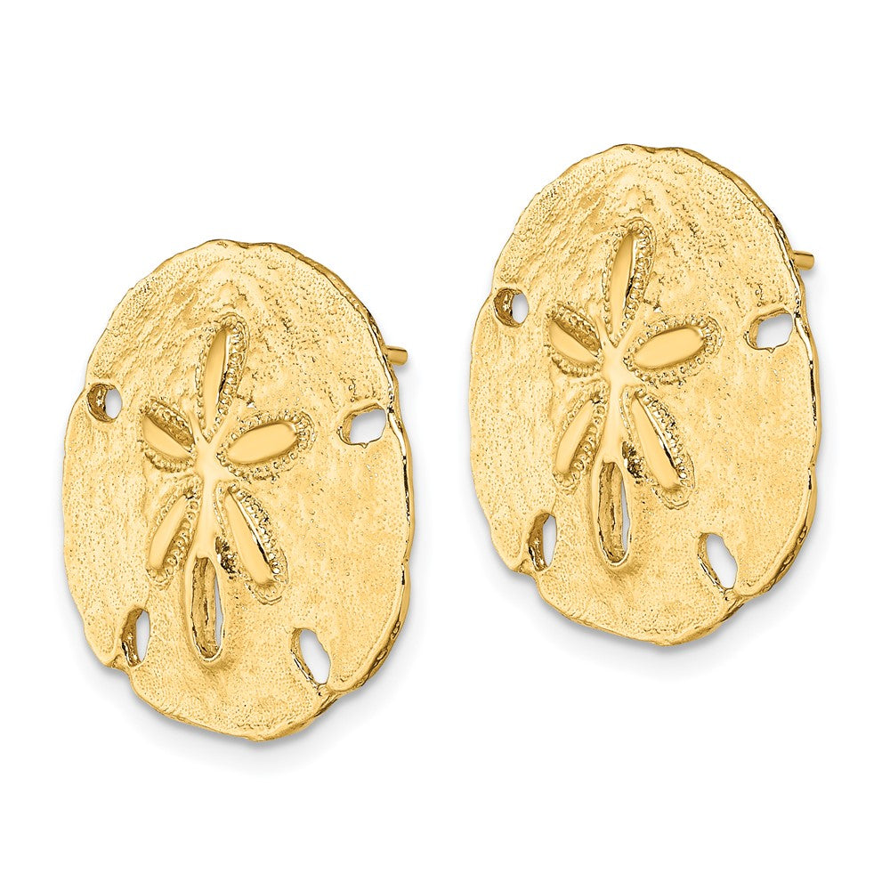 14K Gelbgold Poliert Sand Dollar Ohrstecker