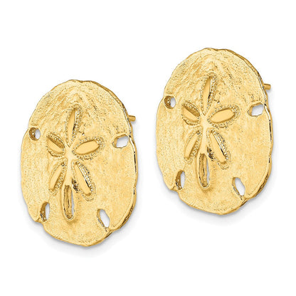 14K Gelbgold Poliert Sand Dollar Ohrstecker
