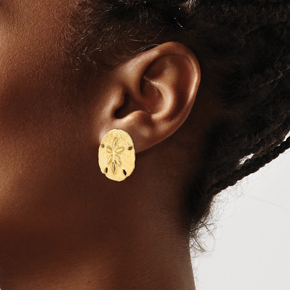 14K Gelbgold Poliert Sand Dollar Ohrstecker